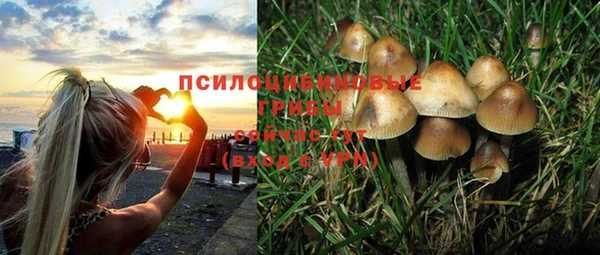 таблы Пестово