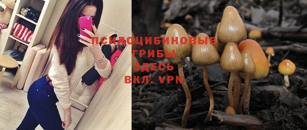 apvp Балабаново